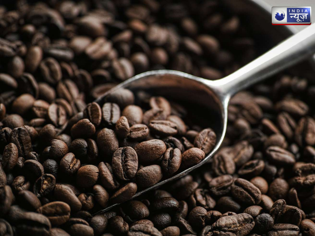 monkey coffee - Photo Gallery