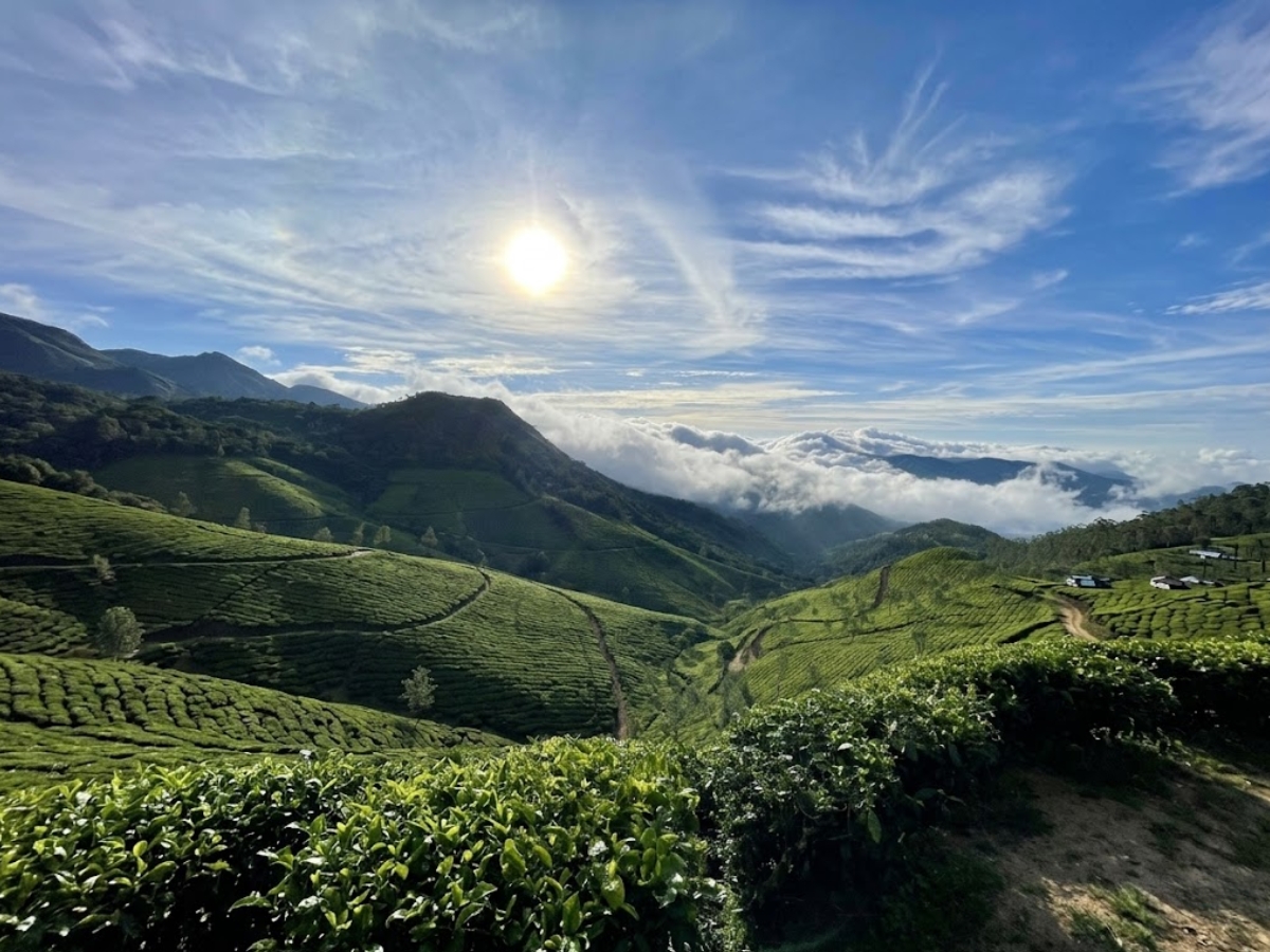 Munnar, Kerala - Photo Gallery