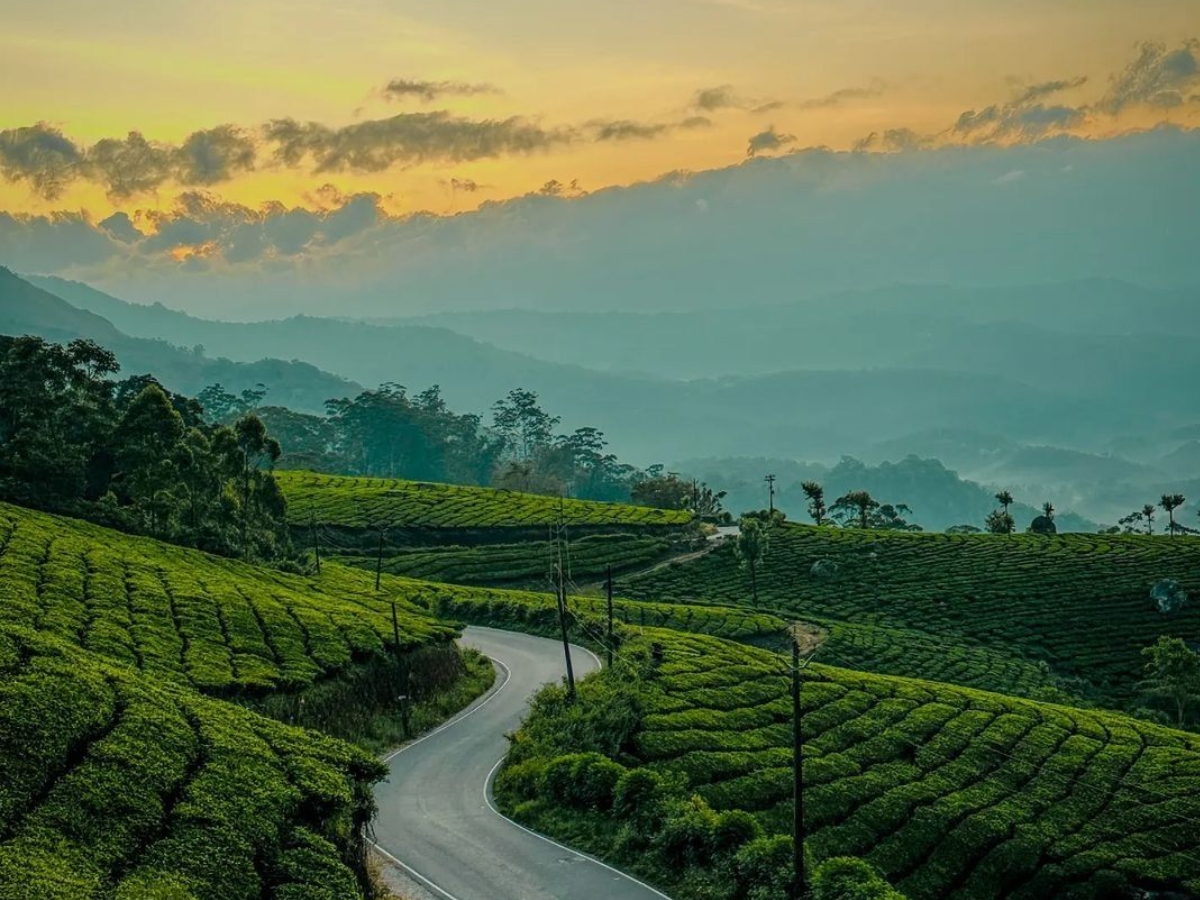 munnar - Photo Gallery