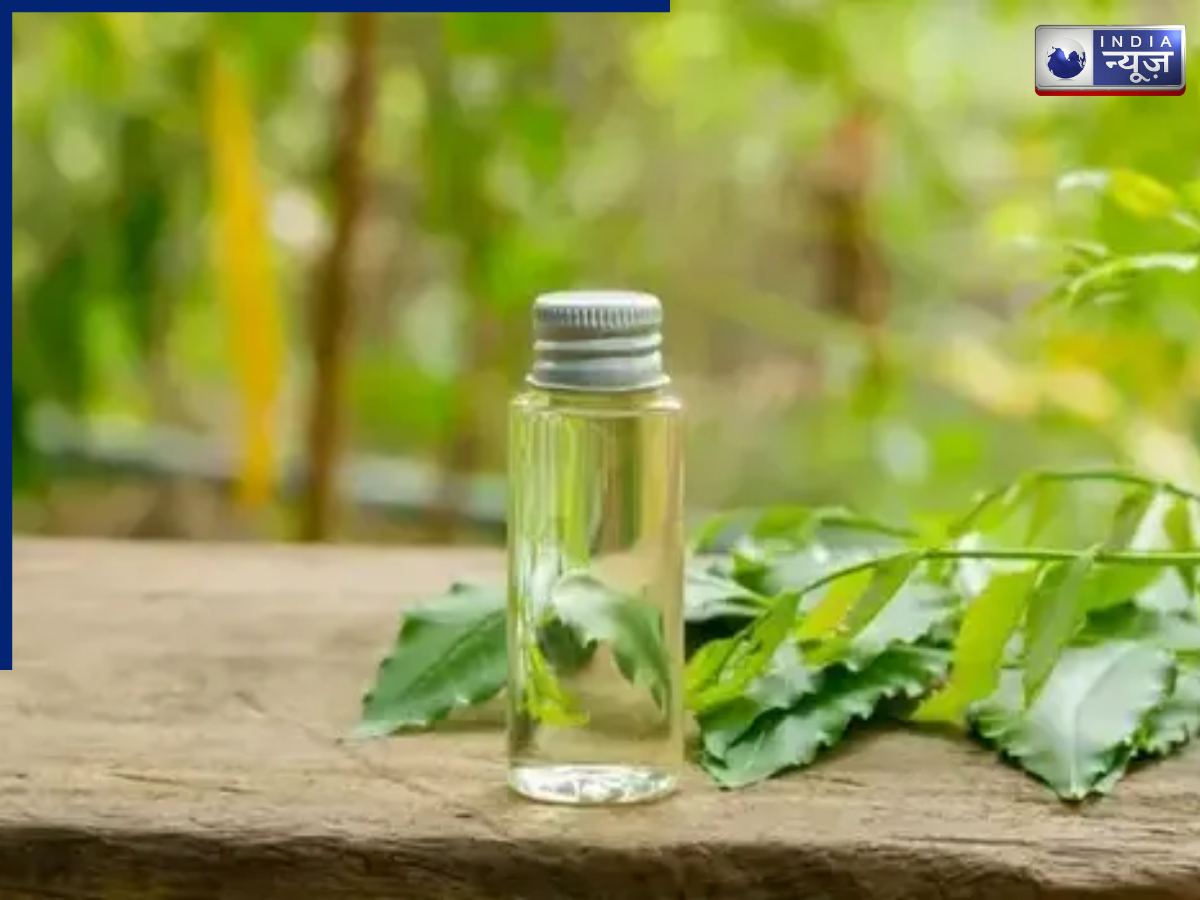 Neem Leaves - Photo Gallery