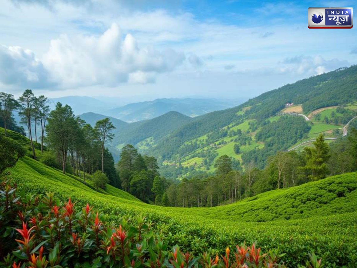 ooty - Photo Gallery