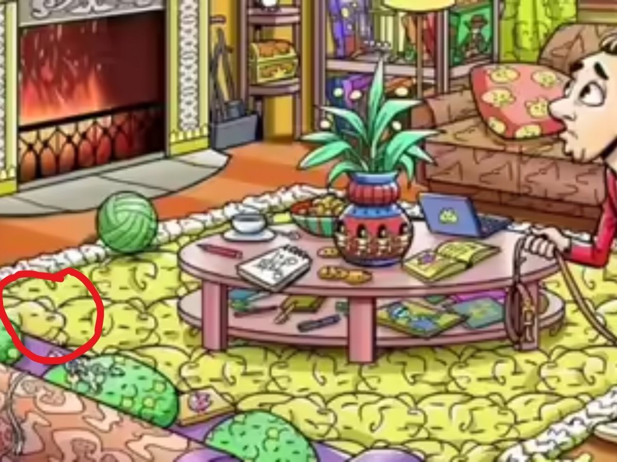 optical illusion 11 optical illusion 11