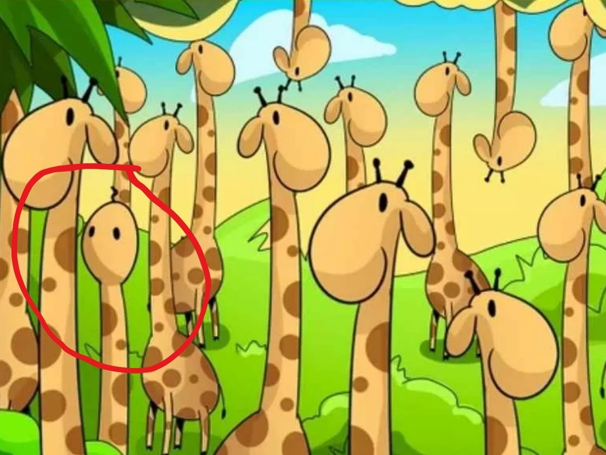 Optical Illusion 17 Optical Illusion 17