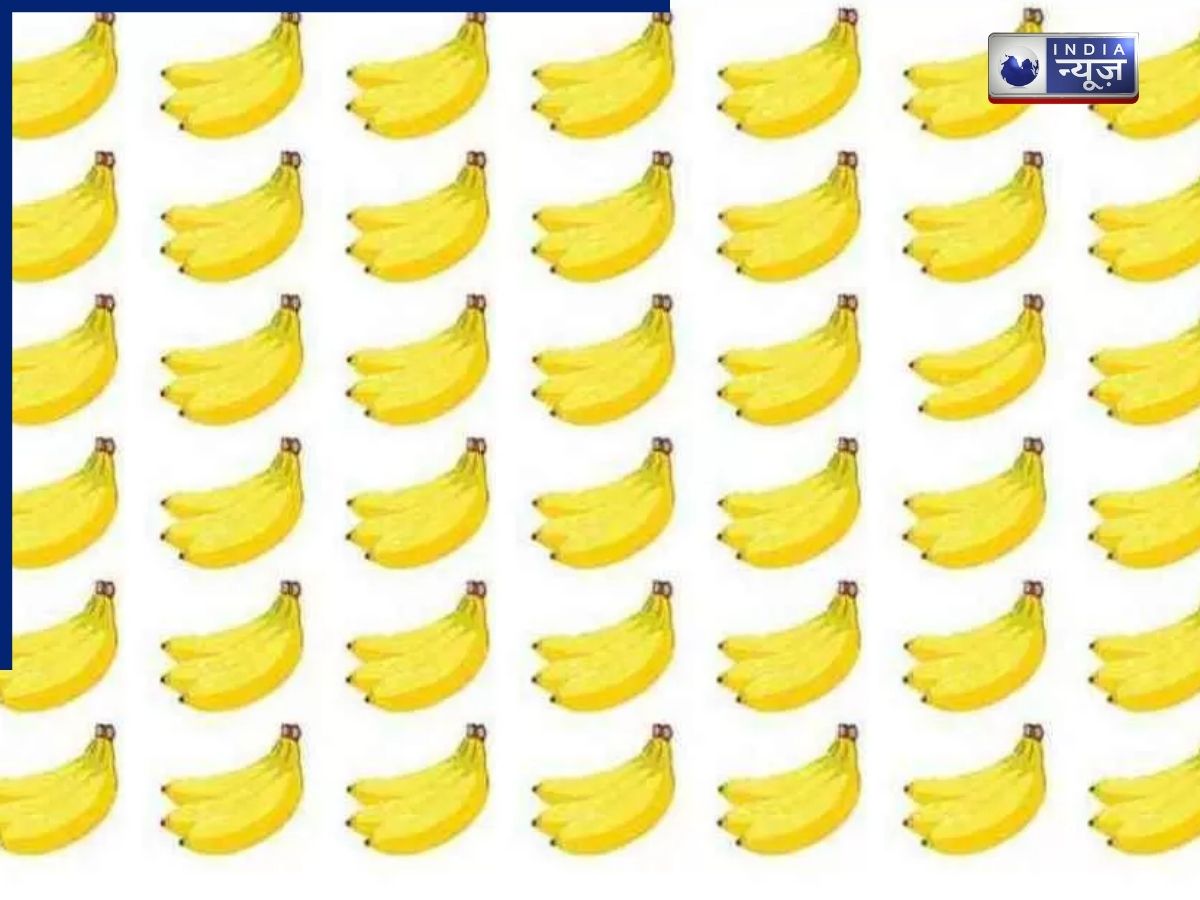 Optical Illusion: इस तस्वीर में छिपा है एक अलग केले का गुच्छा, 6 सेकंड में ढूंढ लिया तो मानेंगे आपकी नजर है सबसे तेज