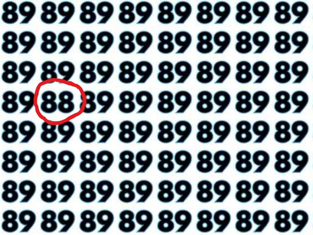 Optical Illusion 31 Optical Illusion 31