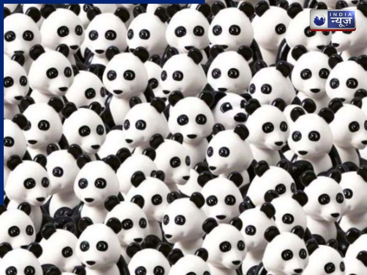 Optical Illusion Challenge: 7 सेकंड में पांडा की तस्वीर में छिपा कुत्ता ढूंढ लिया तो समझिए आपका IQ है जबरदस्त!