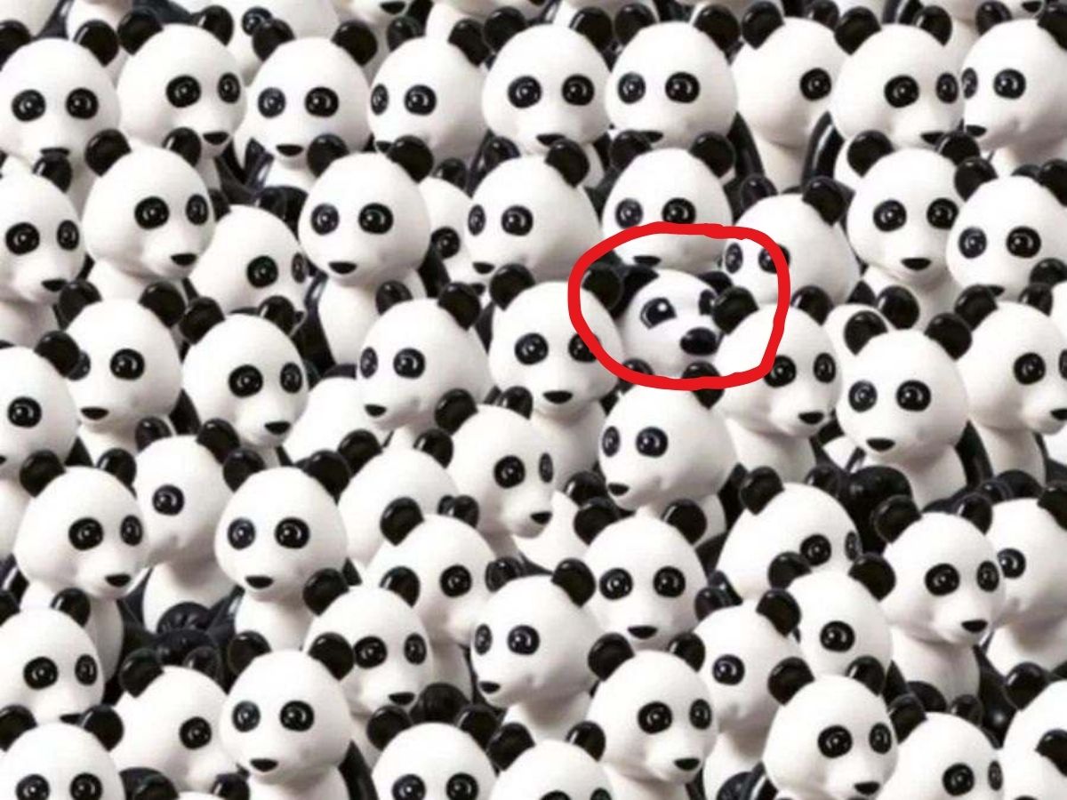 Optical Illusion Challenge 19