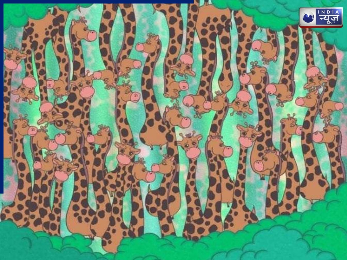 Optical Illusion Challenge: क्या आपकी नजर है सच में तेज? 5 सेकंड में ढूंढकर दिखाएं तस्वीर में छिपा सांप