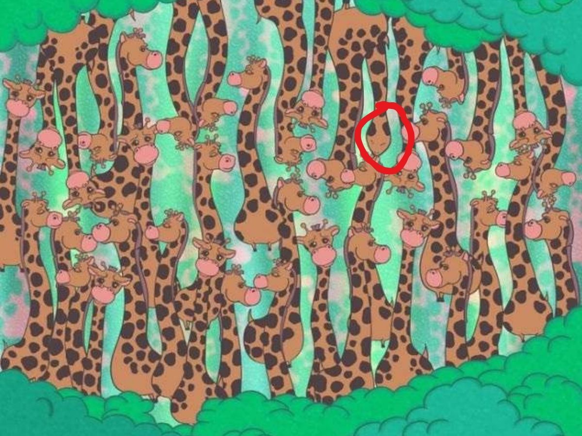 Optical Illusion Challenge 23