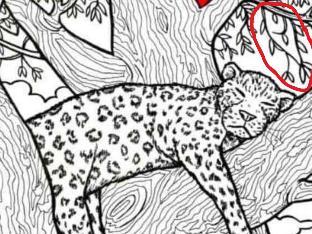 Optical Illusion Challenge 26