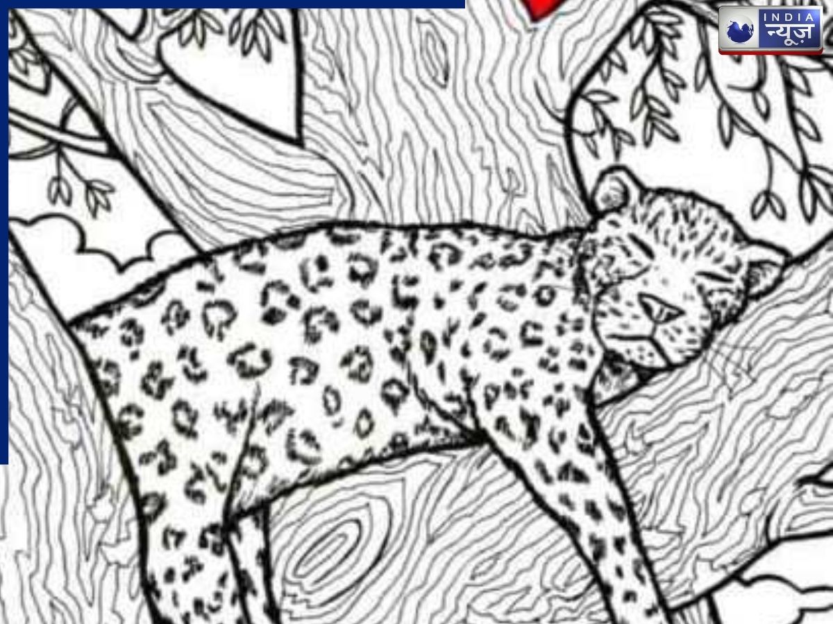 Optical Illusion: भीड़ में छिपी मछली ने घुमाया सबका दिमाग, क्या आप 15 सेकंड में ढूंढ पाएंगे?