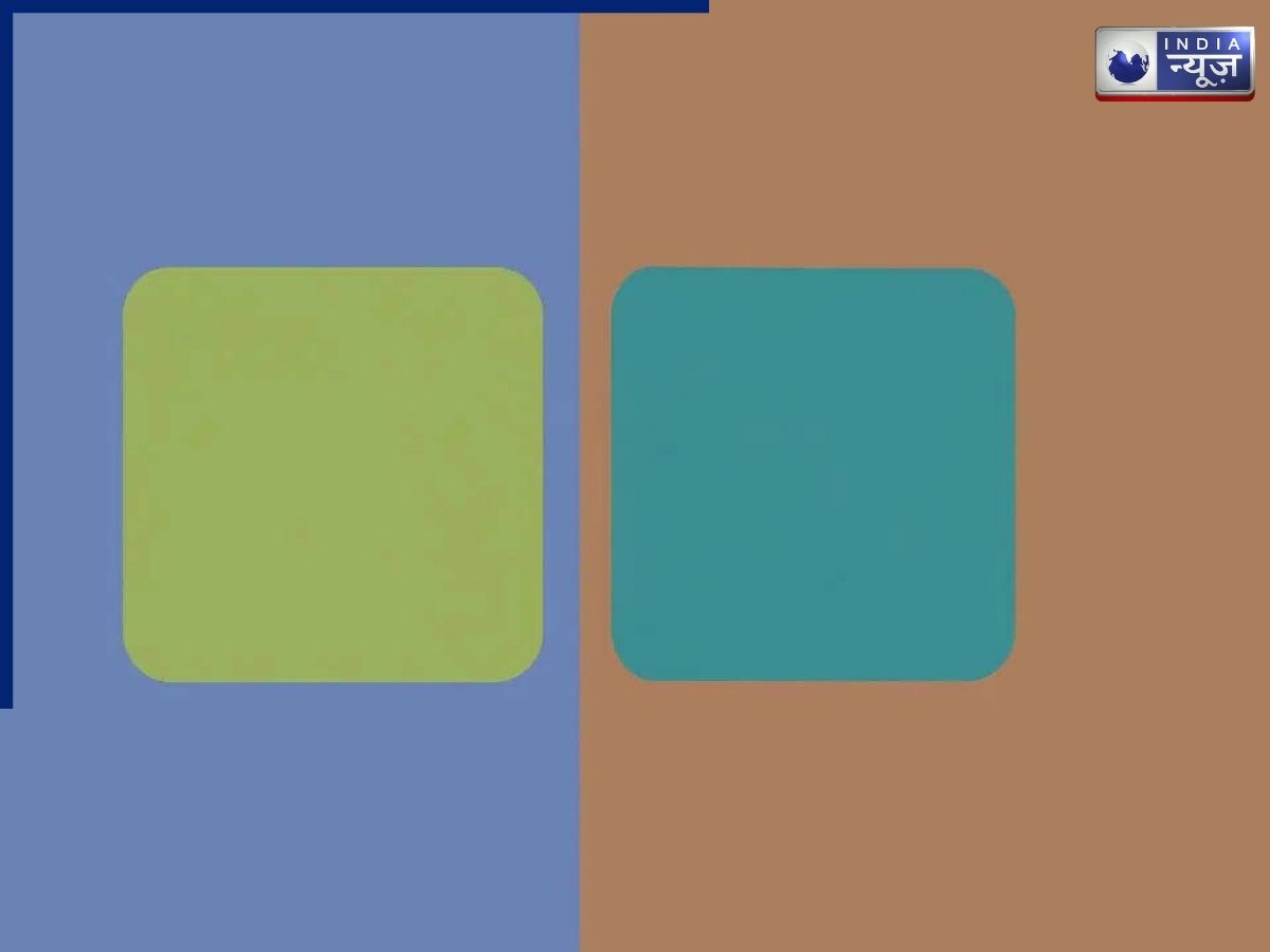 Optical Illusion Challenge: किसी को दिख रहा नीला, किसी को हरा! जानिए आपकी नजर क्या कहती है