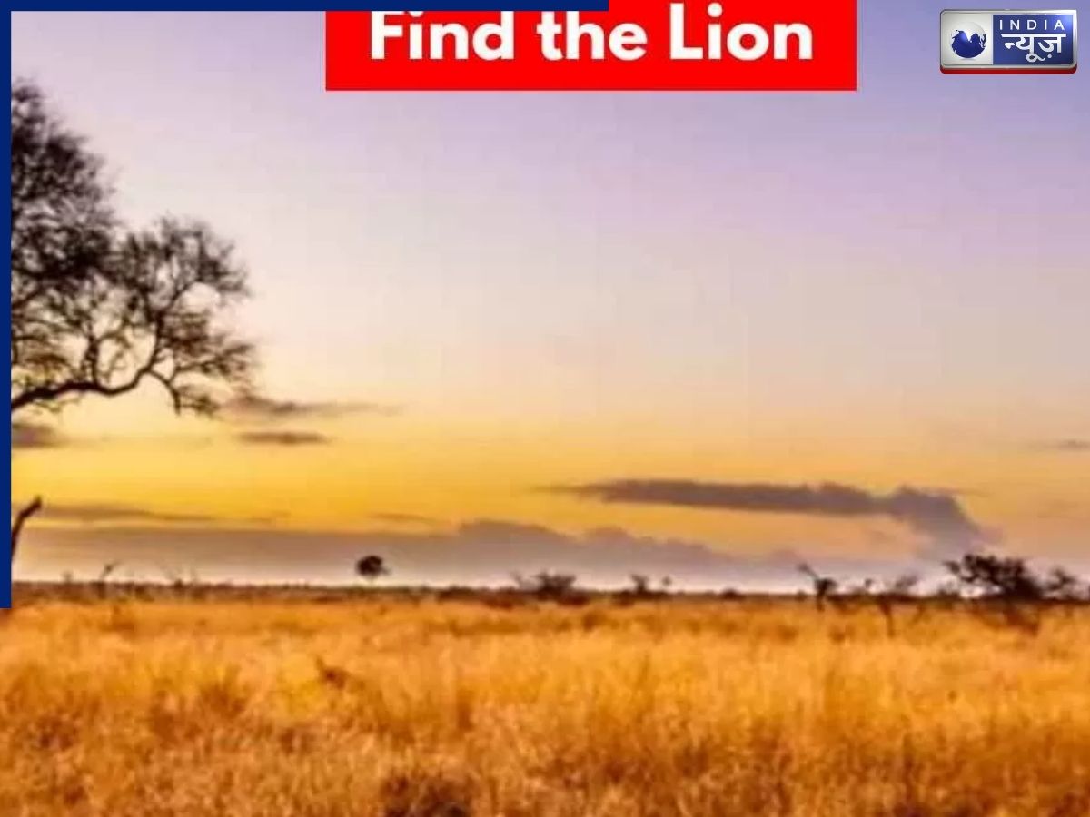 Optical Illusion : क्या आपकी नजरें हैं तेज? सिर्फ 4 सेकंड में तस्वीर में छिपा शेर ढूंढकर दिखाएं
