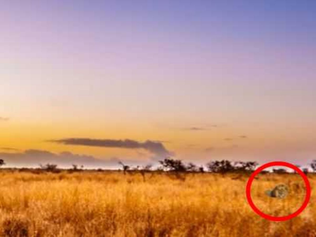 Optical Illusion Challenge 30