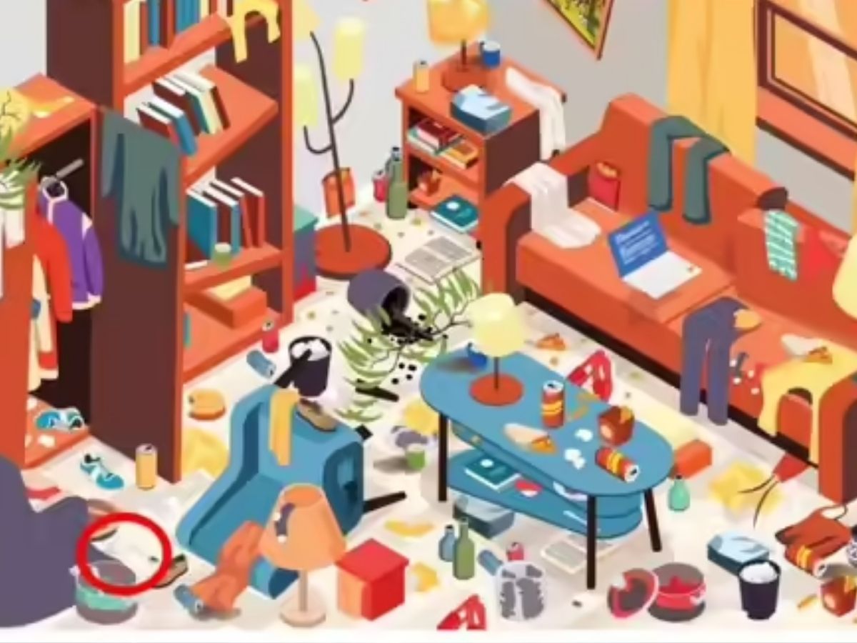 Optical Illusion Challenge 31