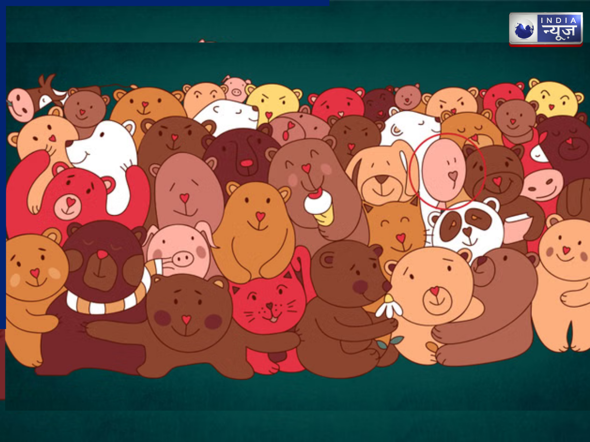 Optical Illusion Solve Optical Illusion Solve