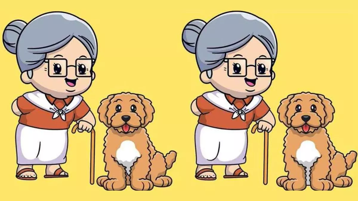 Optical Illusion: तेज नजर वालों के लिए चैलेंज, इस तस्वीर में छिपी हैं 3 गलतियां, 10 सेकंड में पहचानें