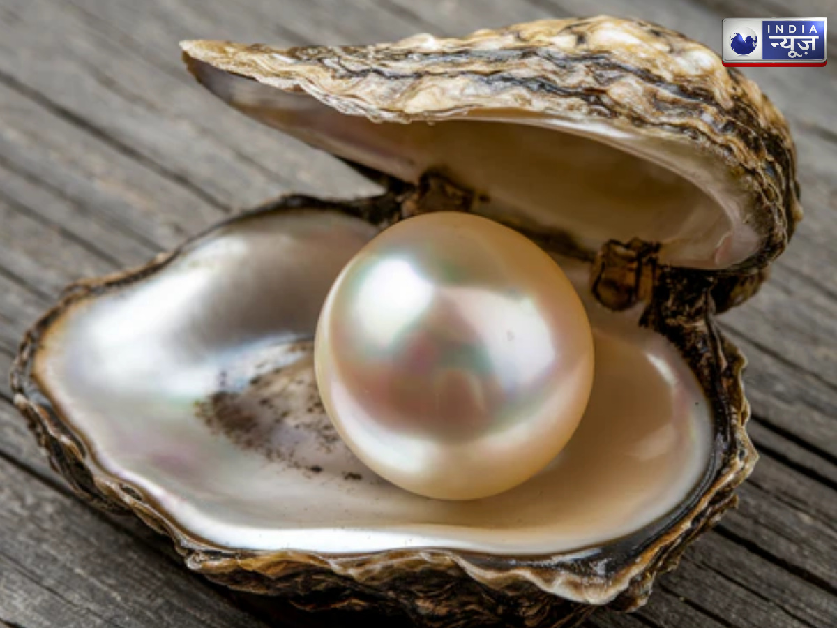 Pearl - Photo Gallery