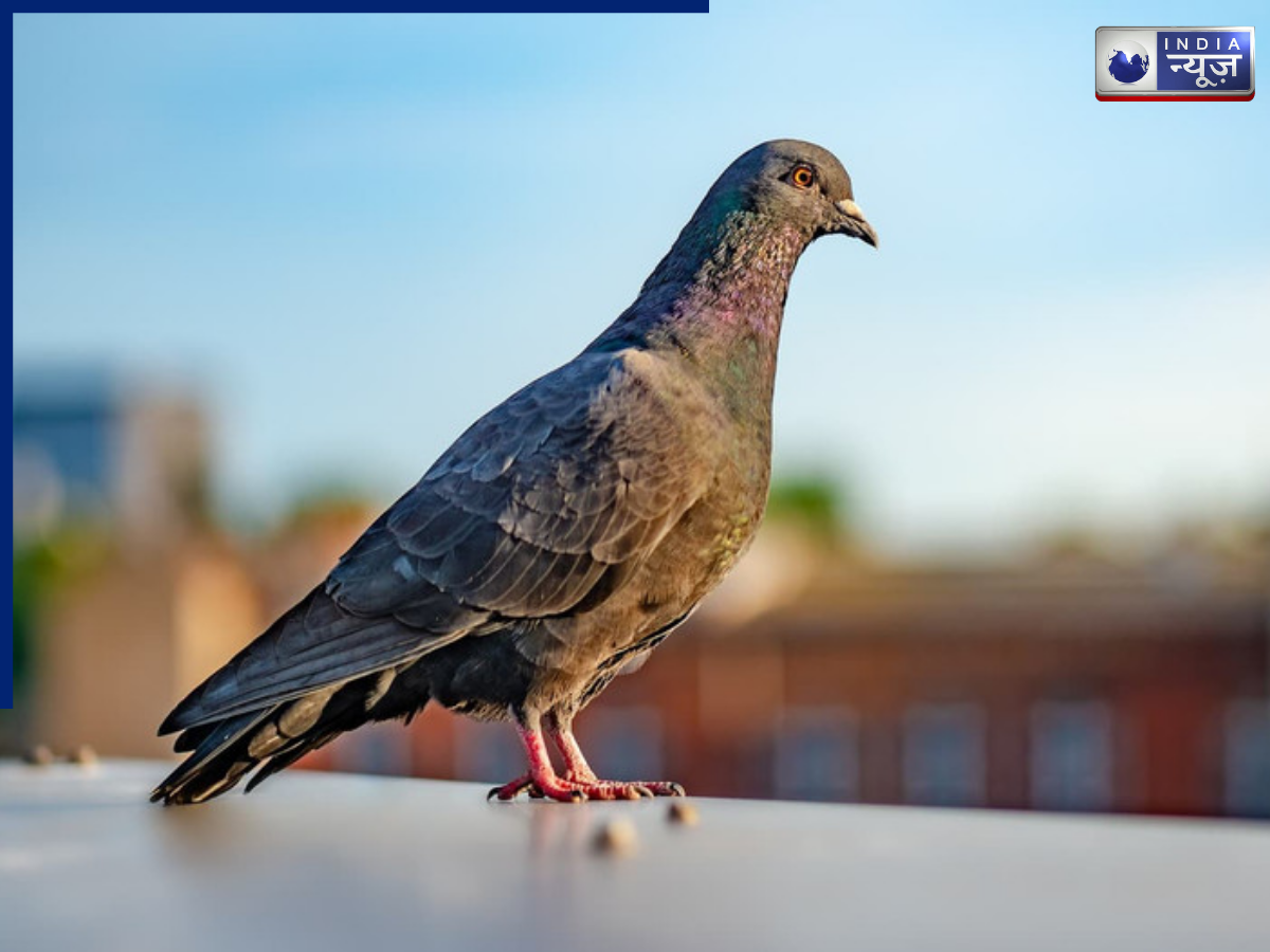 Use double-sided tape - Photo Gallery