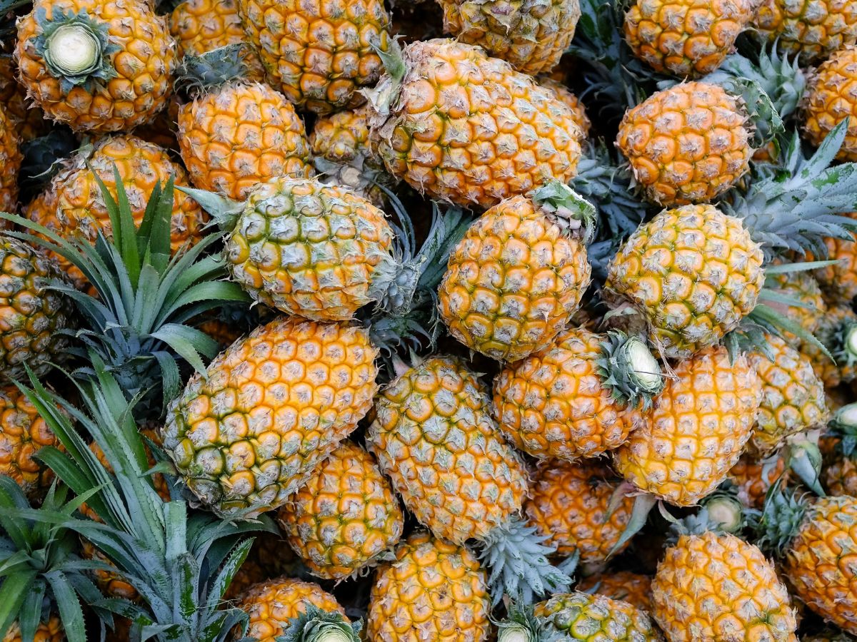 fruits should be avoided in diabetes - Photo Gallery