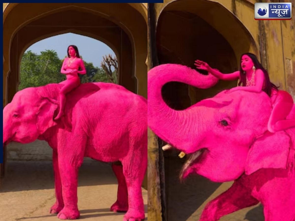 Viral Video: पिंक सिटी में पिंक कलर से रंग दिया हाथी! कराया अश्लील फोटोशूट, रशियन फोटोग्राफी से भड़के लोग