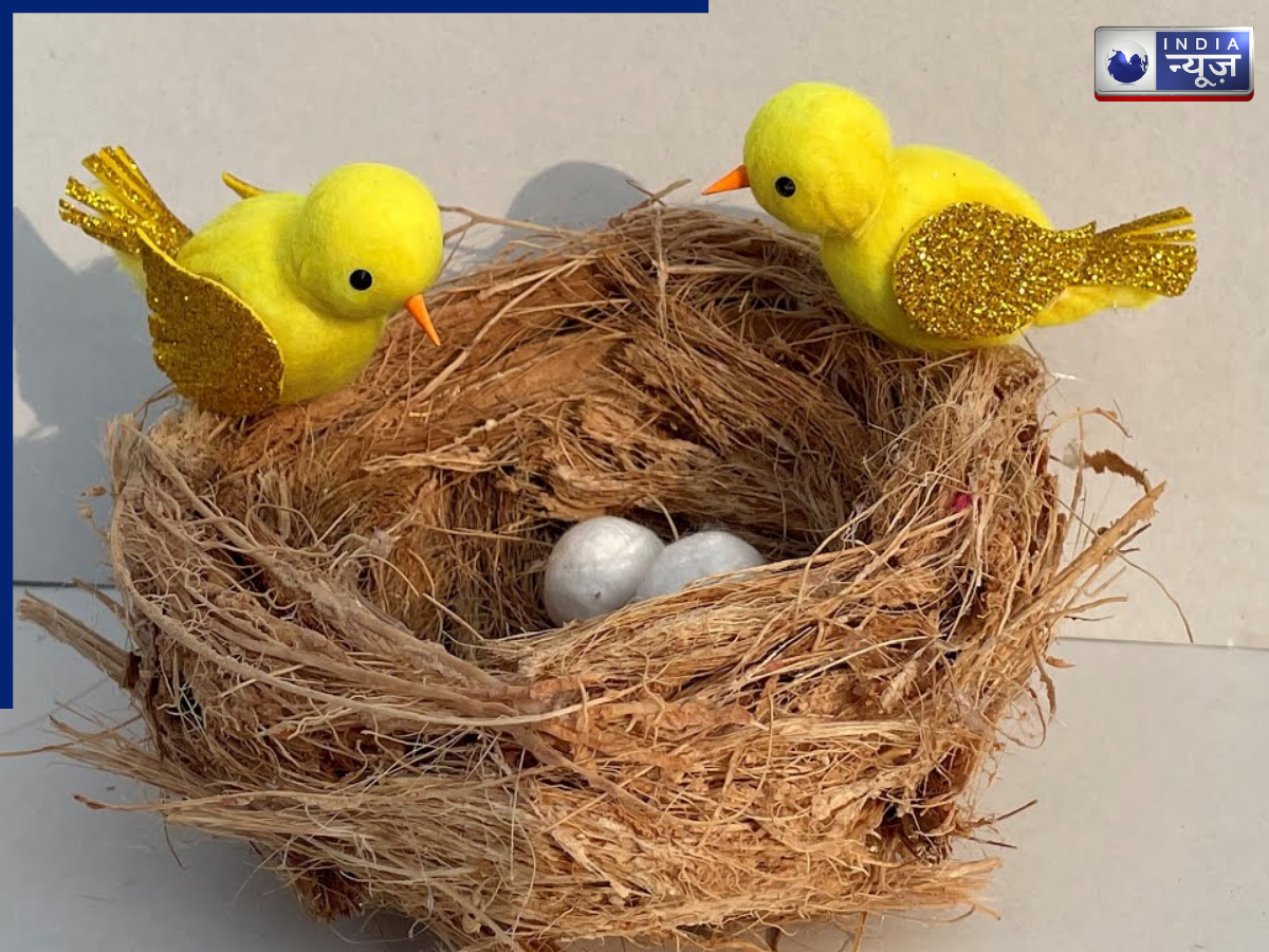 Place plastic birds in your home - Photo Gallery