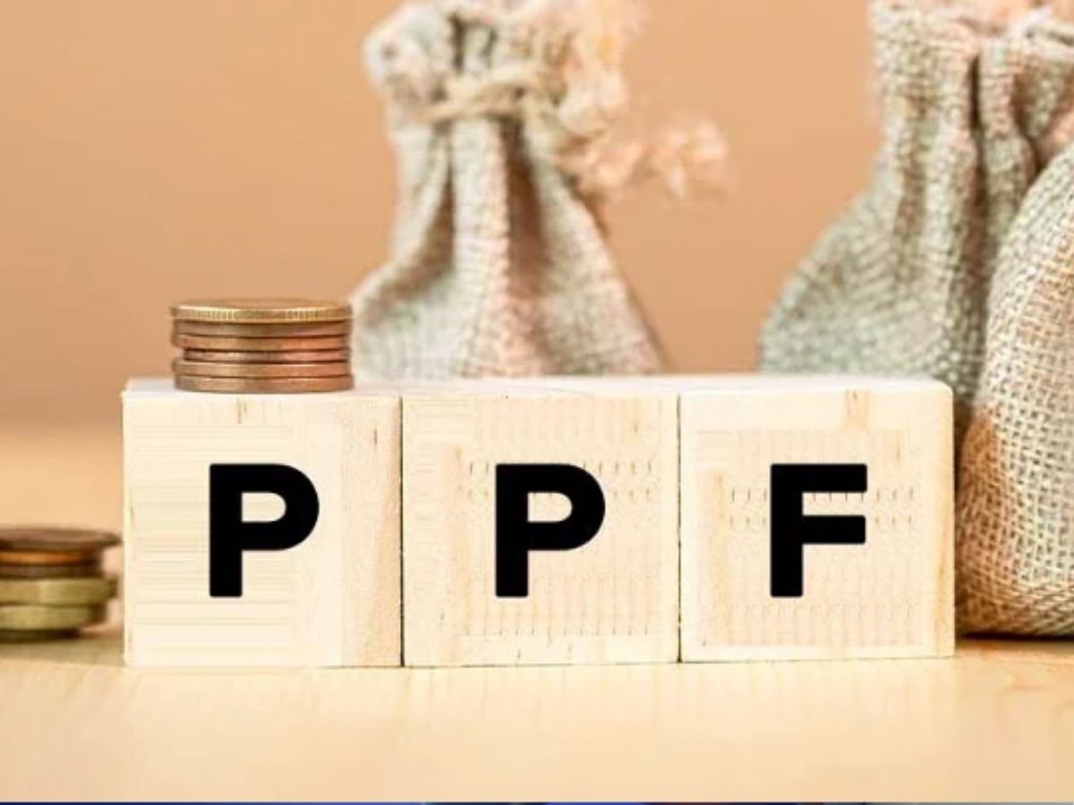 PPF - Photo Gallery