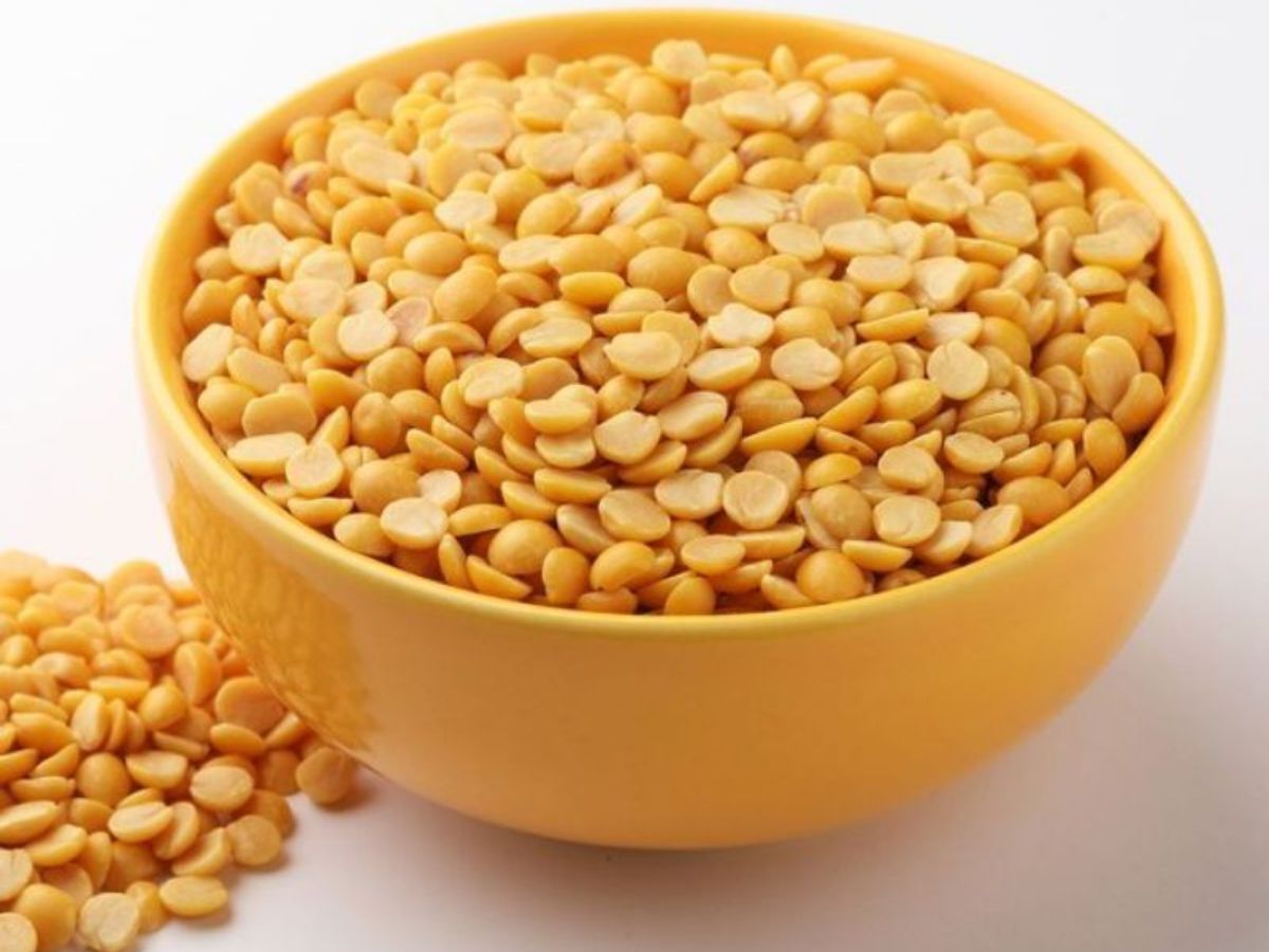 pulse - Photo Gallery