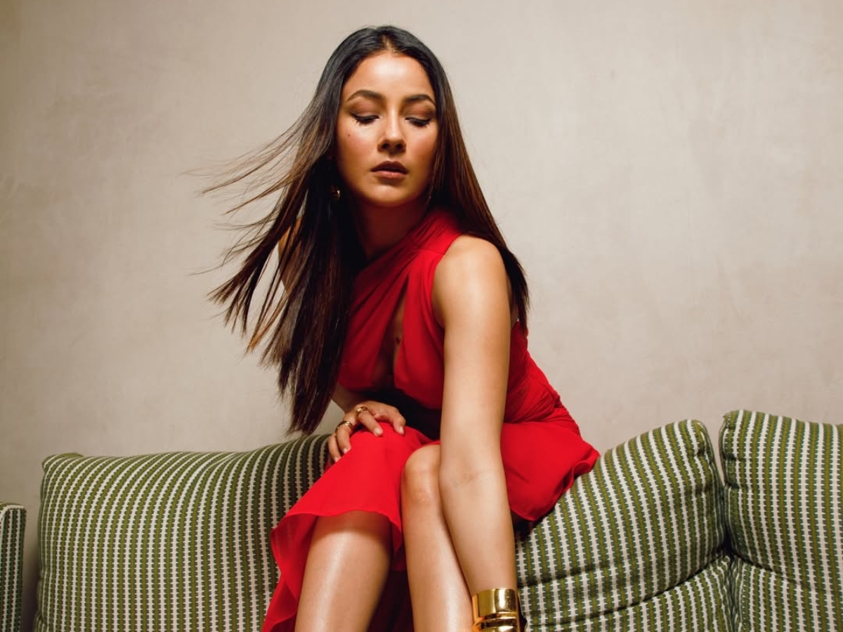 shehnaaz gill workfront - Photo Gallery