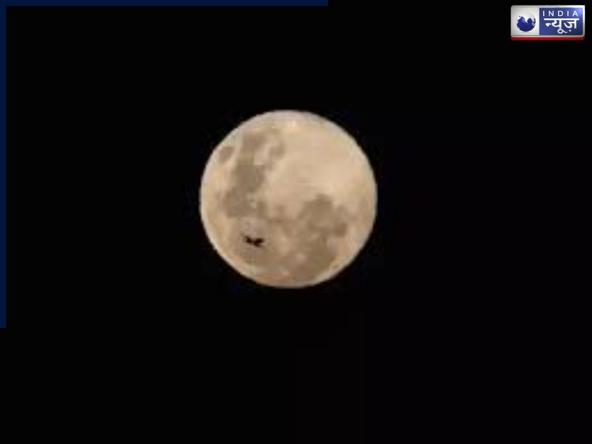 Purnima Vrat March 2026: 2 मार्च या 3 मार्च? जानें फाल्गुन पूर्णिमा का व्रत रखने का सही समय और स्नान-दान का सबसे शुभ मुहूर्त