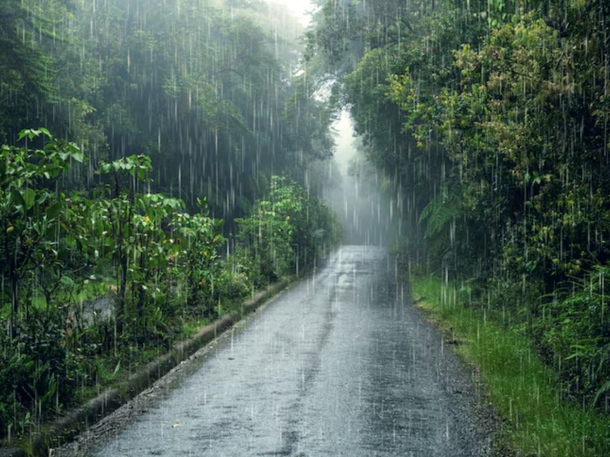 'Western Disturbance' in North India - Photo Gallery