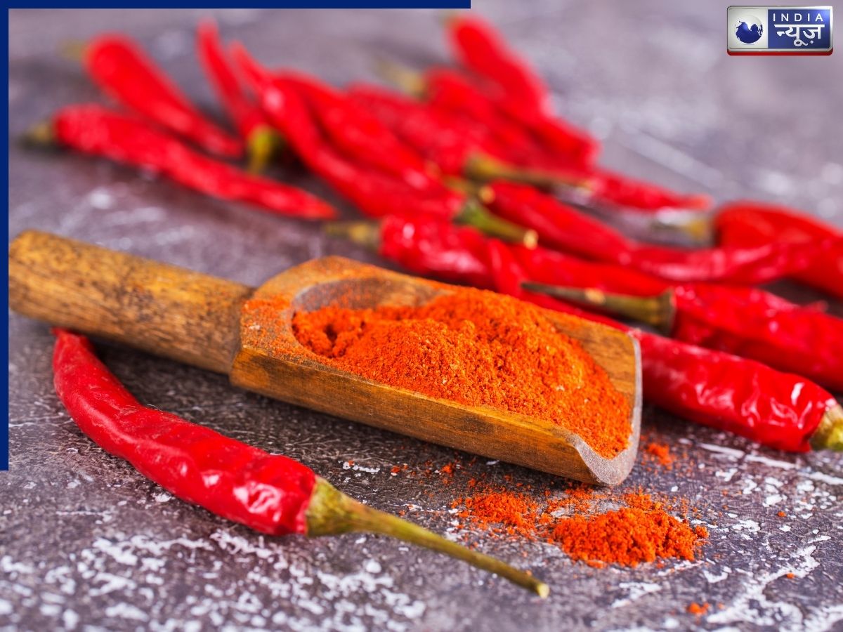 red chilli - Photo Gallery