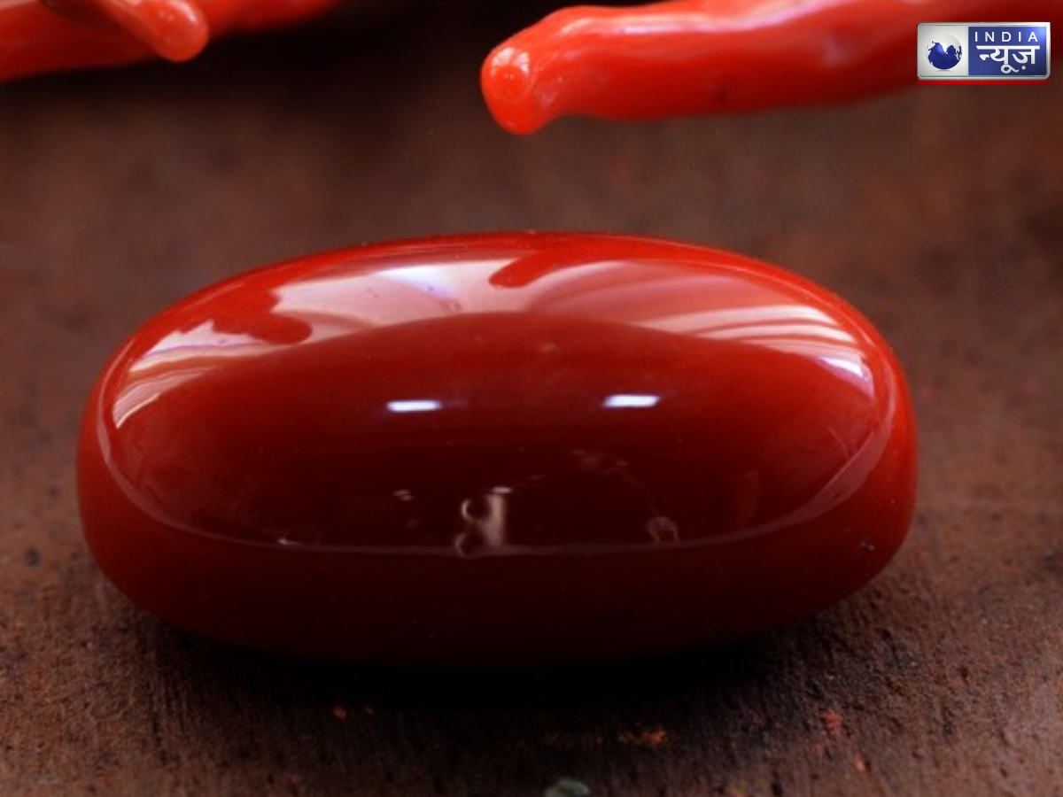 Red Coral - Photo Gallery