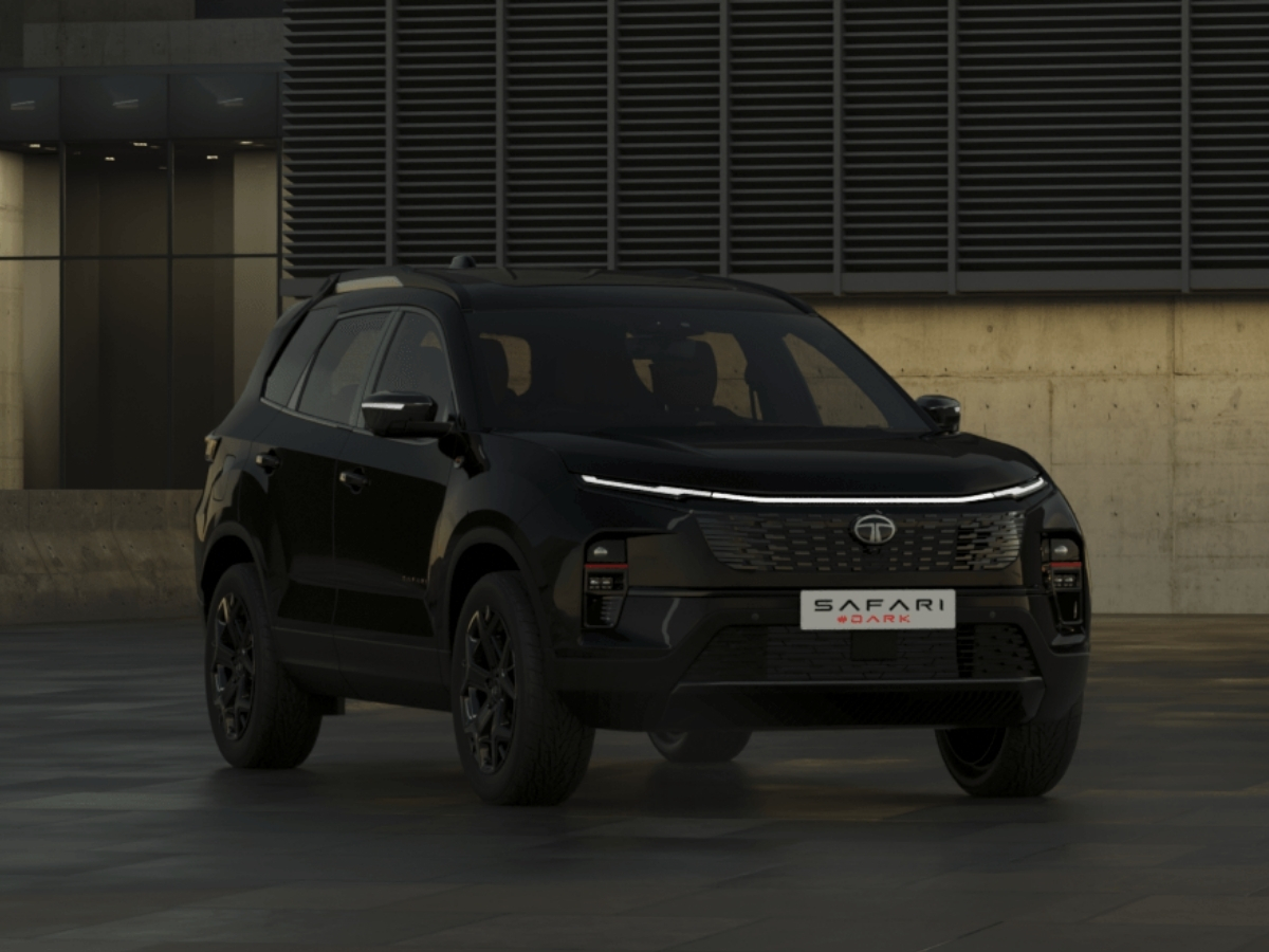 safari - Photo Gallery