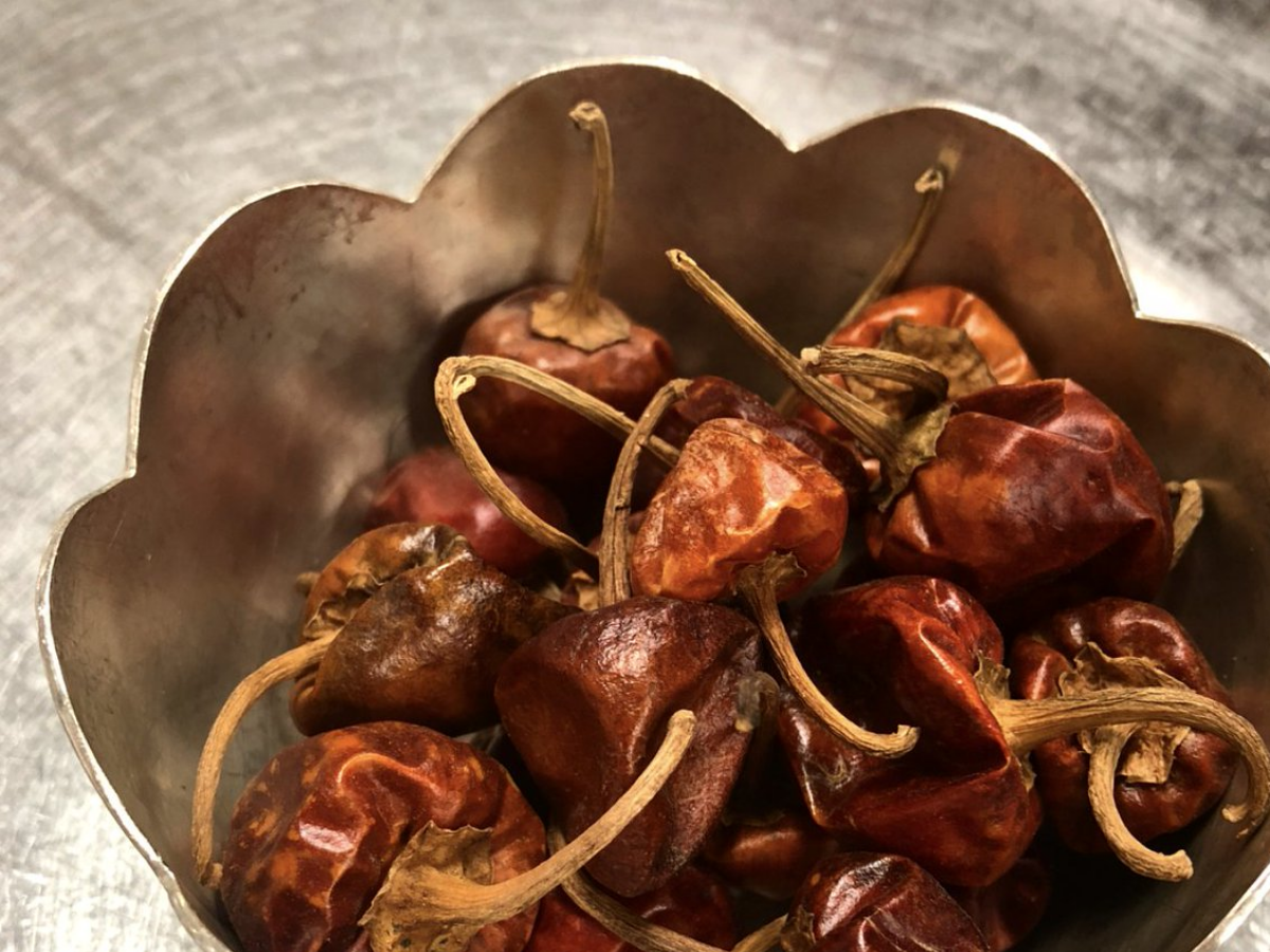 salem gundu chilli - Photo Gallery