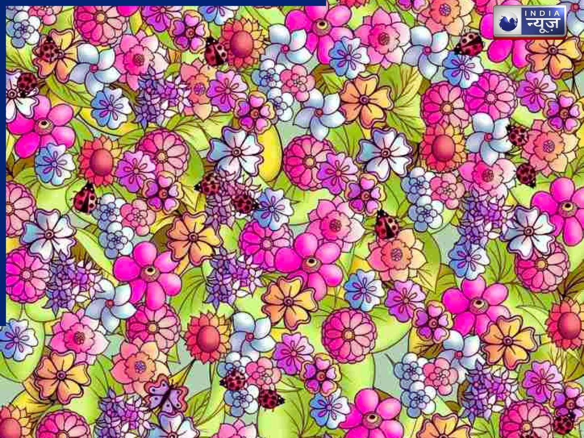 Opticle Illusion: इस फोटो में फूलों के गार्डन में कहीं छिपी है तितली, 5 सेकंड में खोजकर बढ़ाएं अपनी माइंड पावर
