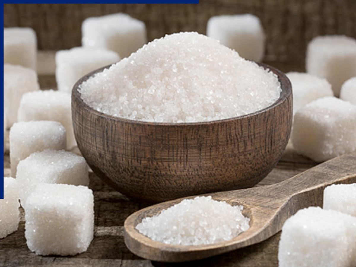 Say No to Sugar - Photo Gallery