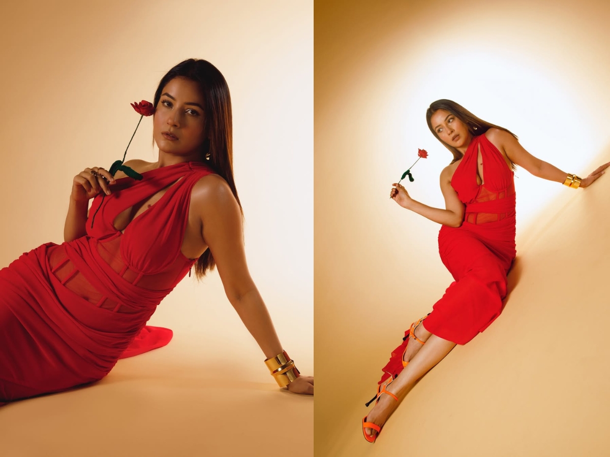 Shehnaaz gill photos on instagram - Photo Gallery