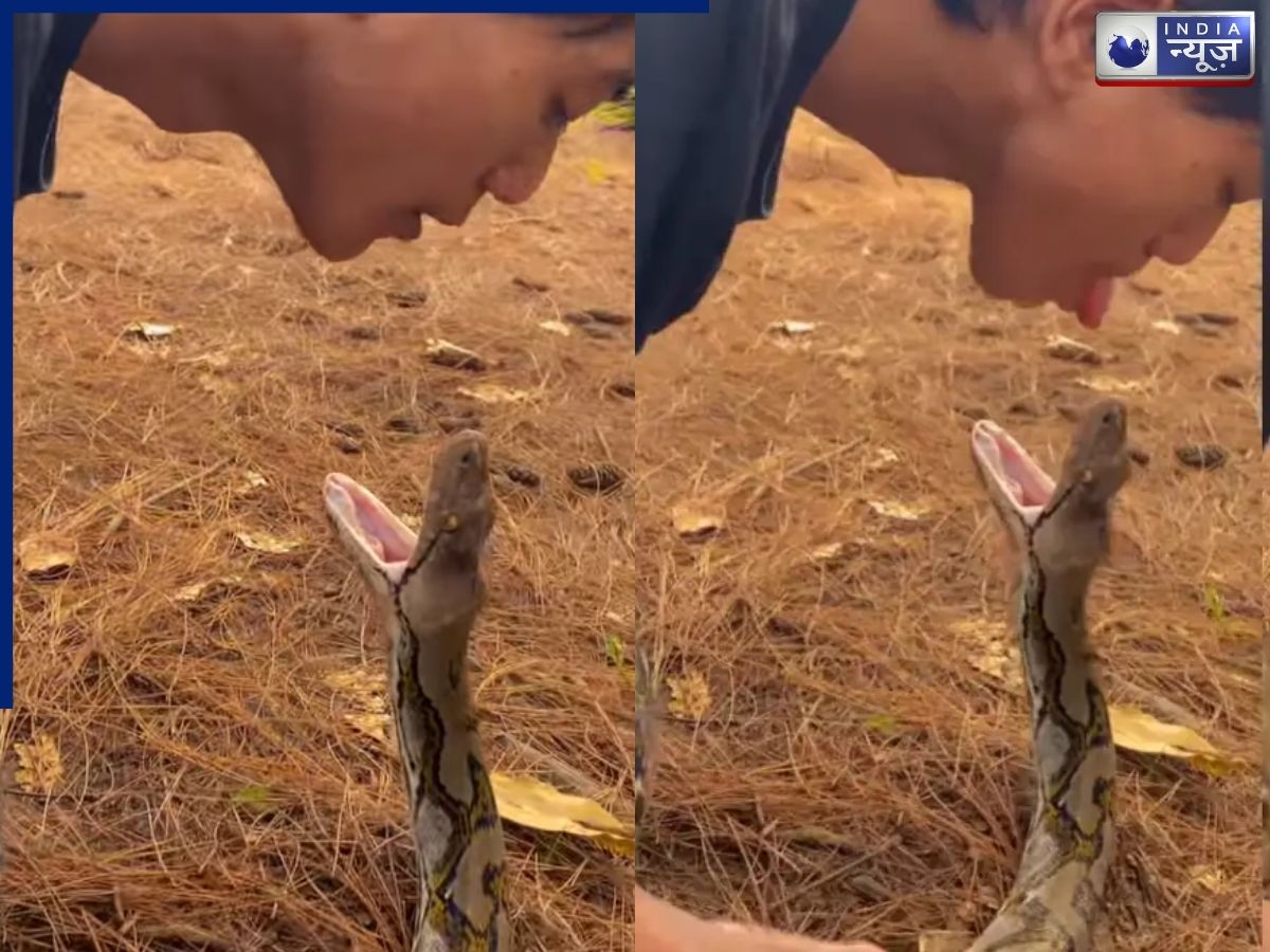 Viral Video: सांप के मुंह में जीभ डाल रहा था शख्स, अगले ही पल जो हुआ… देख उड़ जाएंगे होश