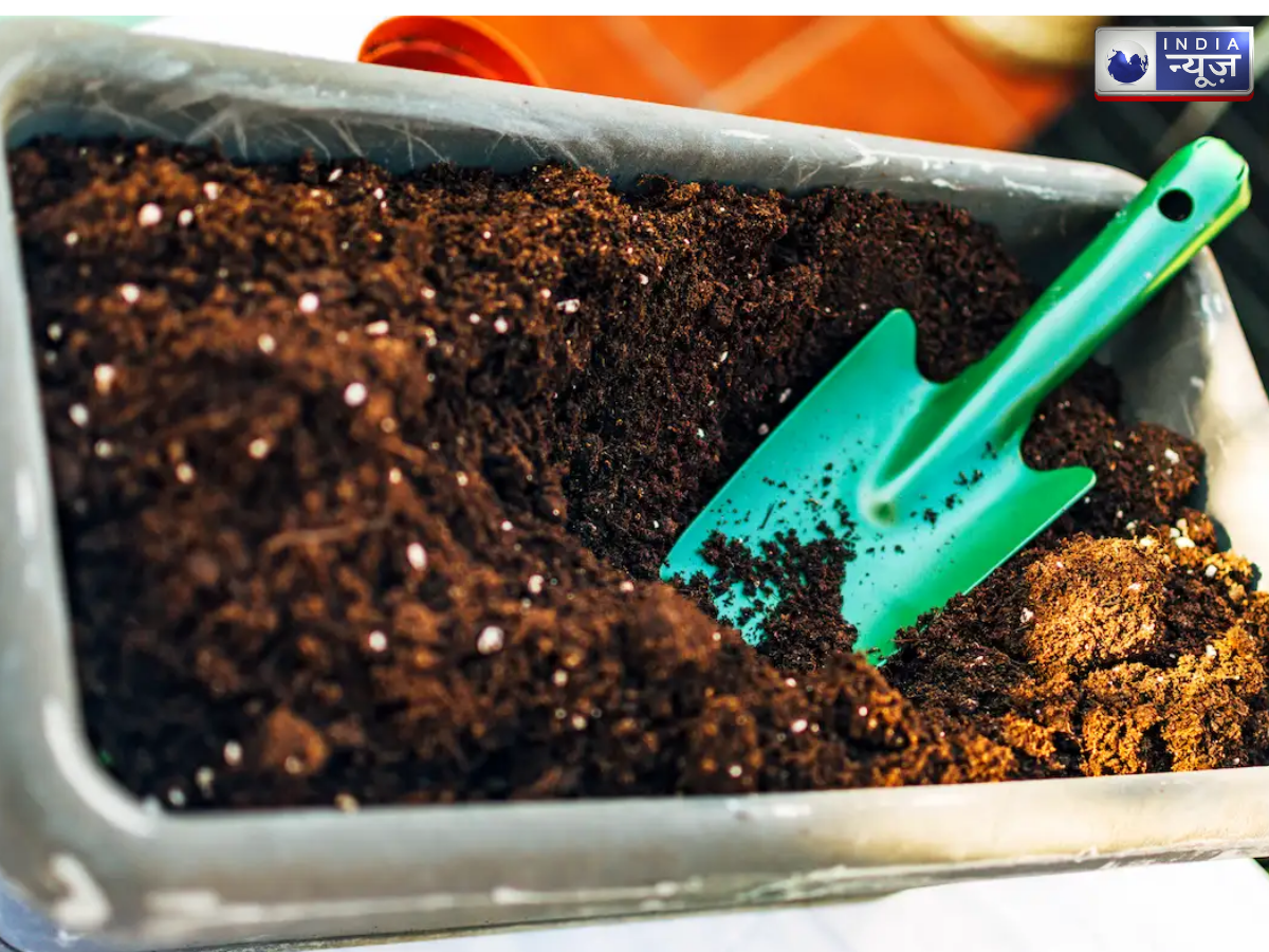 soil preparation - Photo Gallery