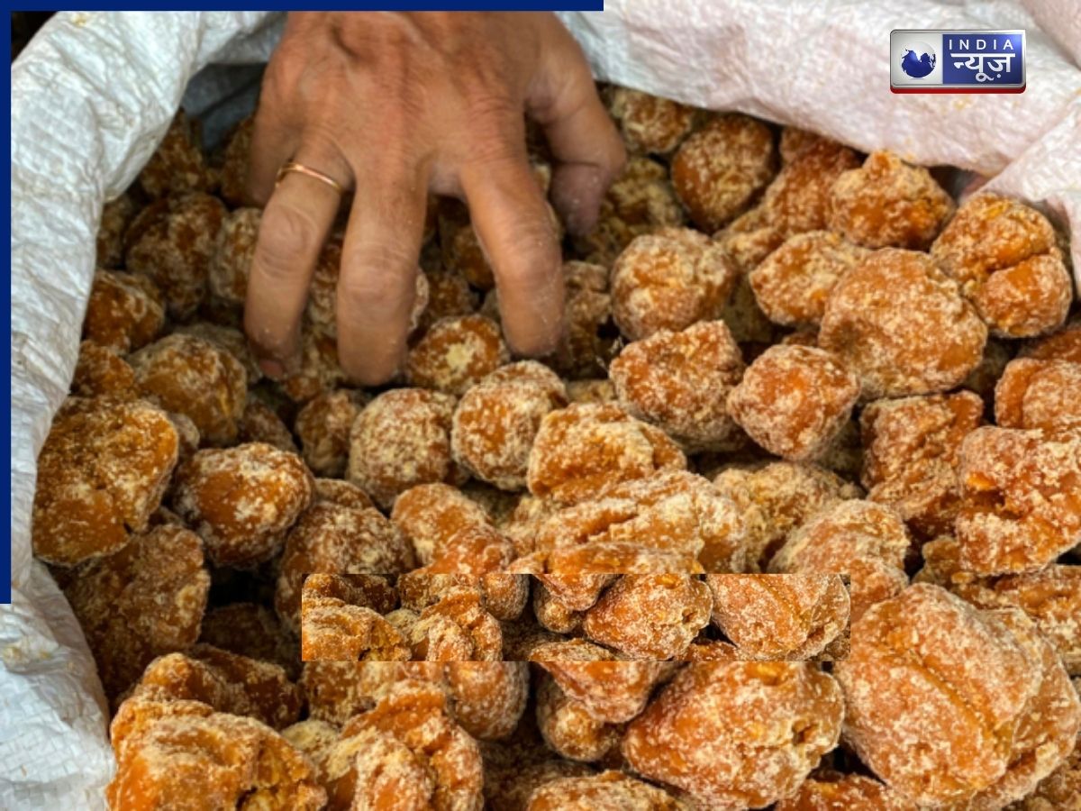 Jaggery Test: गुड़ असली है या मिलावटी? घर पर ऐसे करें शुद्धता की जांच, FSSAI ने बताया आसान तरीका