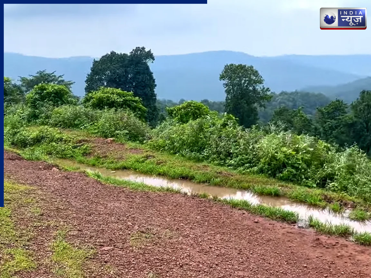 Study Reveals - Photo Gallery