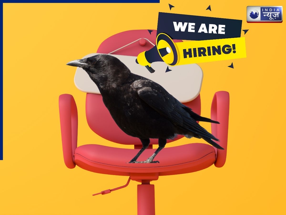 इस देश में कौओं को मिल रही ग्रुप डी की नौकरी,सैलरी सुन चौंक जाएंगे आप