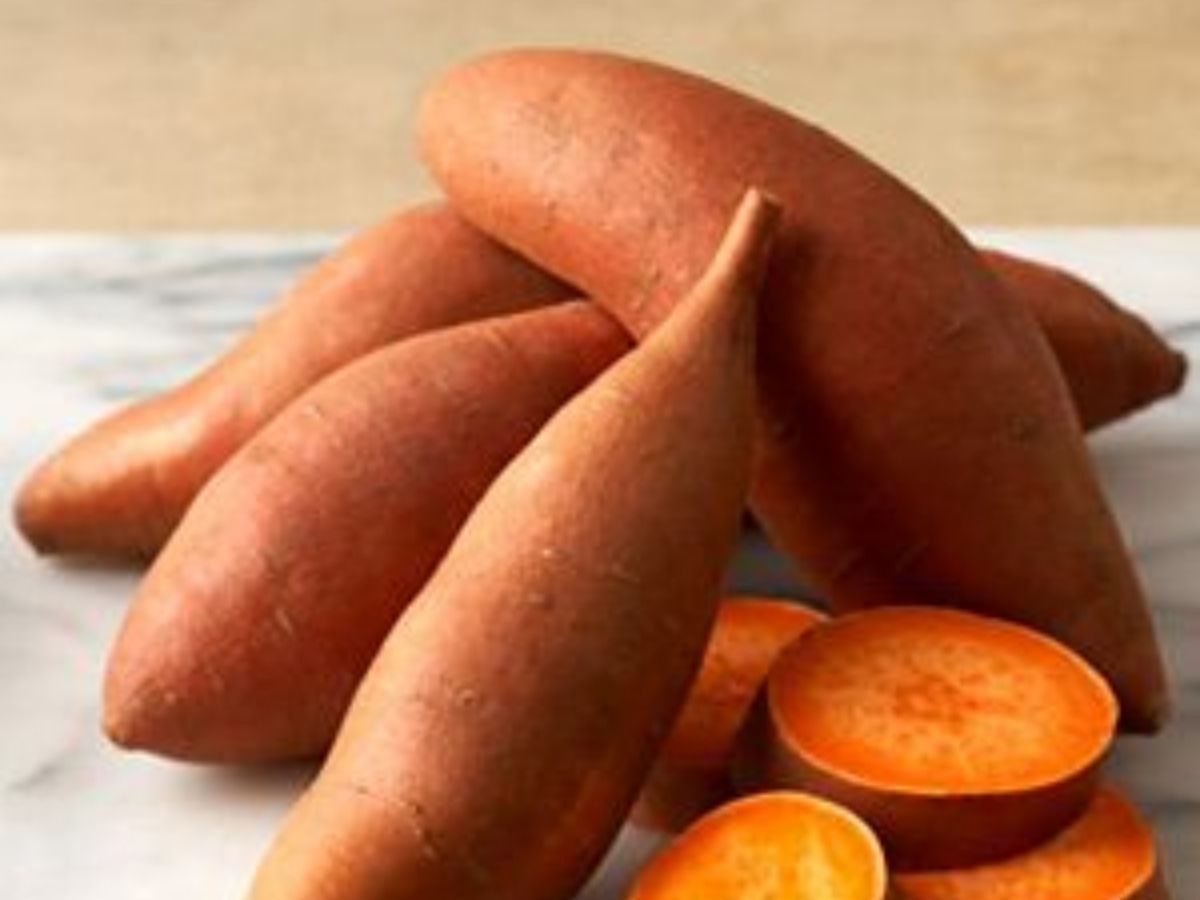 Sweet Potato for Fasting - Photo Gallery