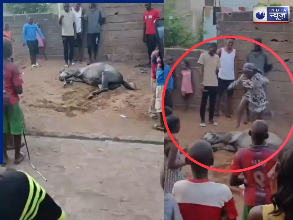 अनोखा चमत्कार, कुंवारी लड़की ने ऐसा क्या किया कि जिंदा हो गया घोड़ा? वीडियो वायरल