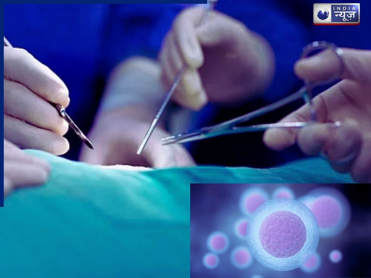 IVF Egg Smuggling Racket: 30 हजार का लालच देकर निकलवाते थे महिलाओं के अंडाणु, IVF रैकेट ने मचाई सनसनी!