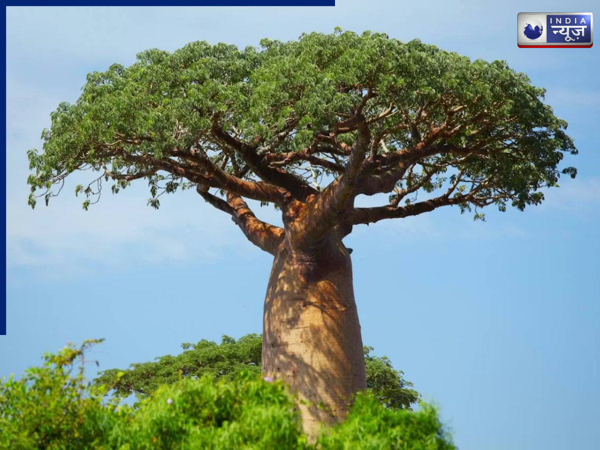 thousand years old history - Photo Gallery