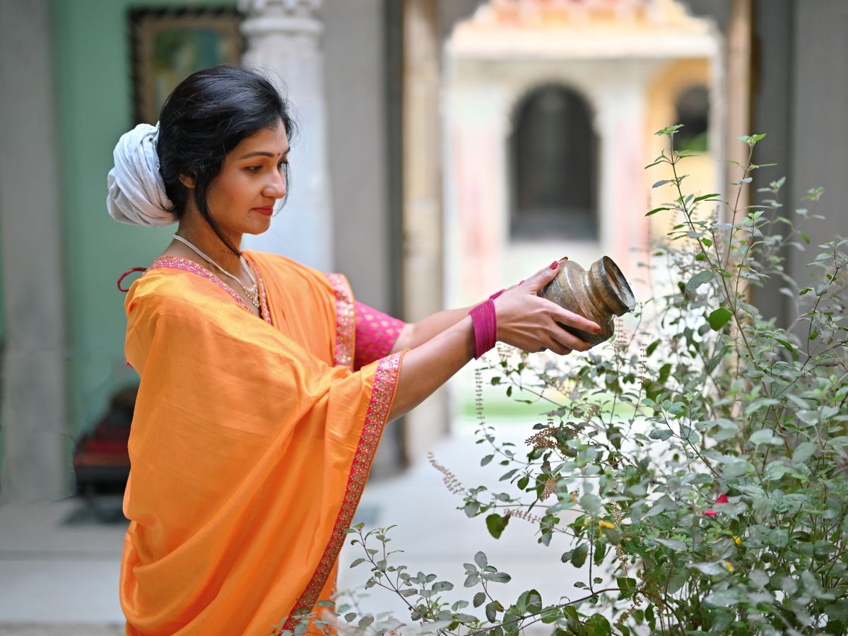 tulsi astro tips - Photo Gallery