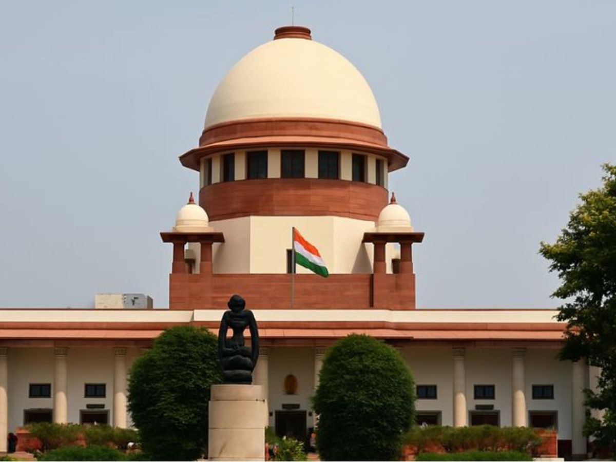 Failed Support - Photo Gallery