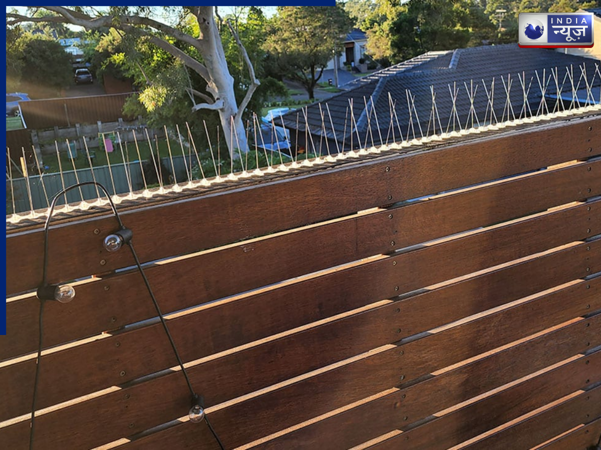 Use bird spikes - Photo Gallery